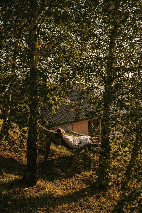 Eco Chalet Astramontana Tolmin Exterior photo